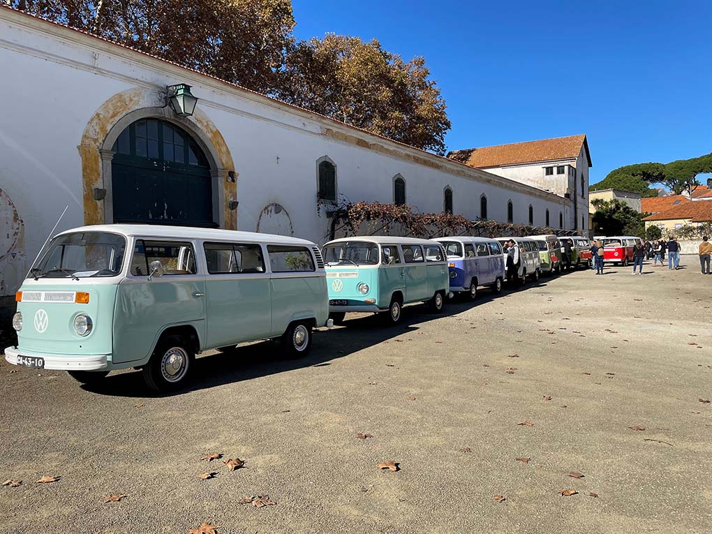 Une rangée d'autobus pour un voyage organisé