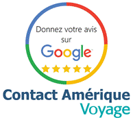 avis google