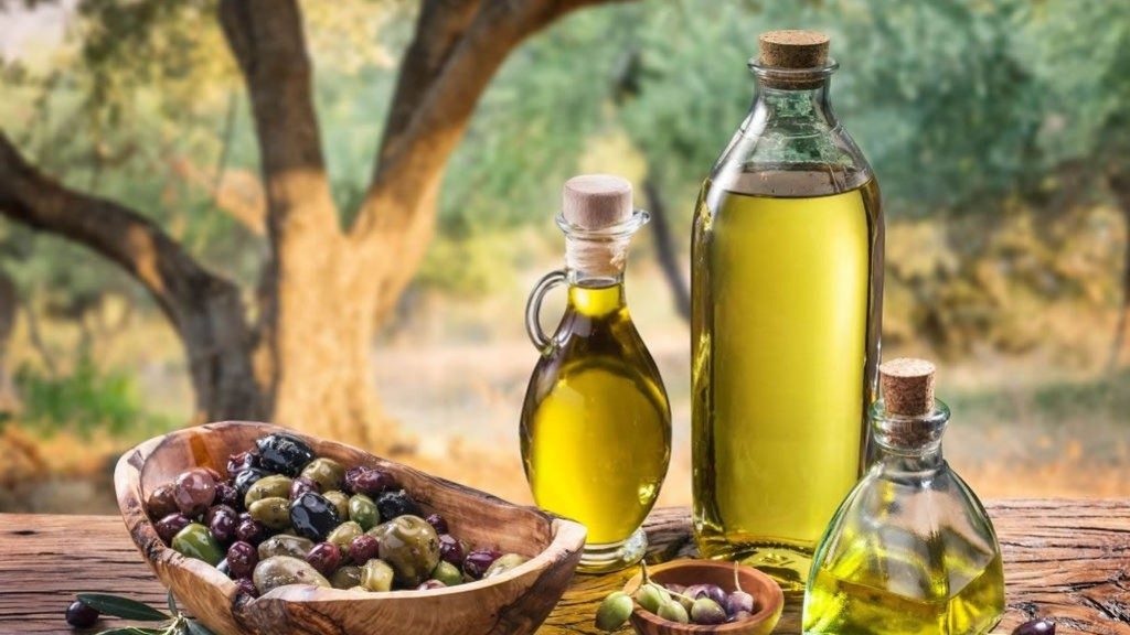 Voyage en Italie, dégustation huile d'olive
