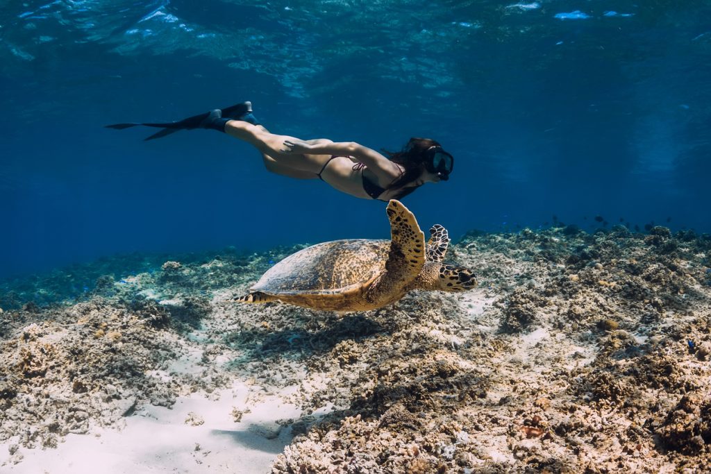 Freediver femme et tortue