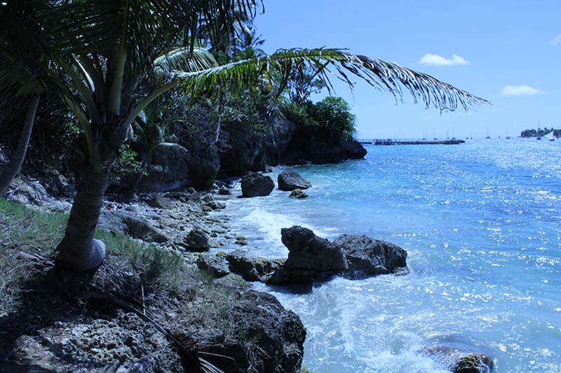 Voyage voile en Martinique avec Contact Amérique Voyage