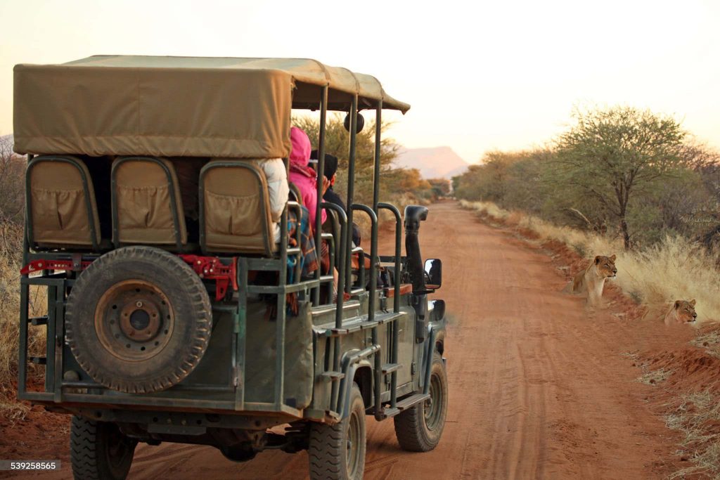 safari jeep