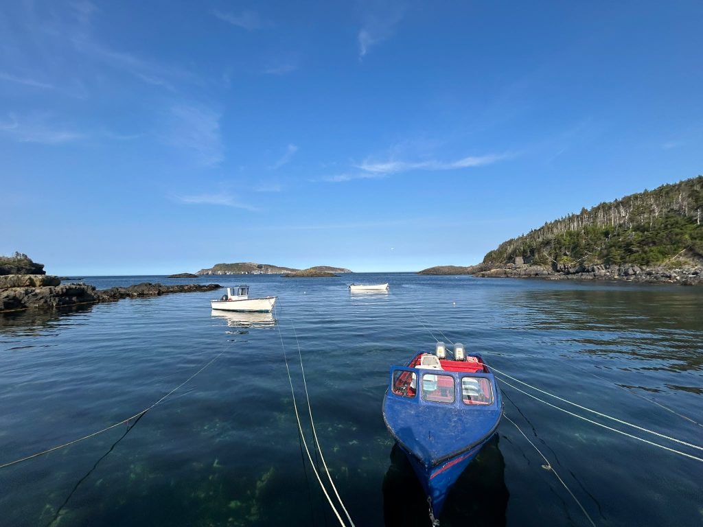 Voyage à Terre Neuve avec accompagnateur Contact Amérique