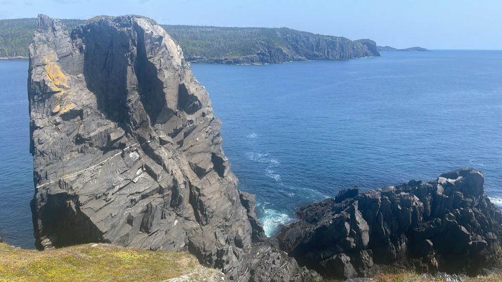 Voyage à Terre Neuve avec accompagnateur Contact Amérique