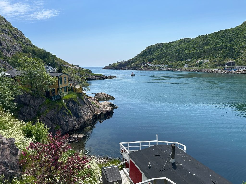 Voyage à Terre Neuve avec accompagnateur Contact Amérique