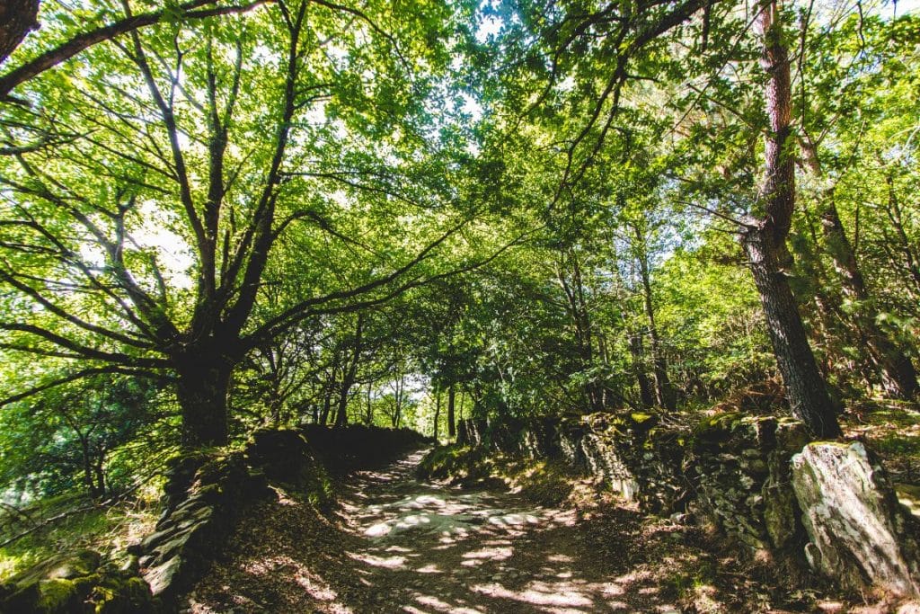 Route typique sur le chemin de Compostelle