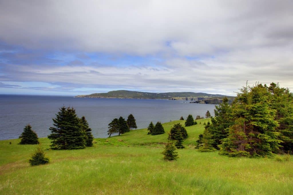 Randonnée sur la East Coast Trail avec Contact Amérique