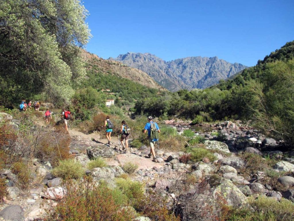 Montagnes - Sentier en rivière