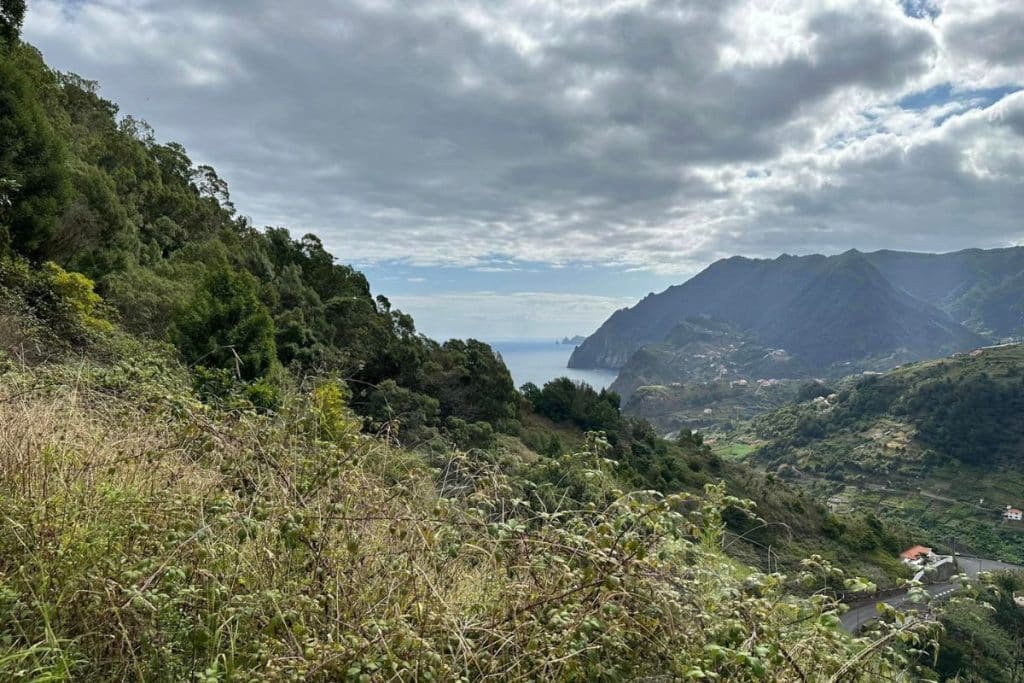 forêt de Fanal